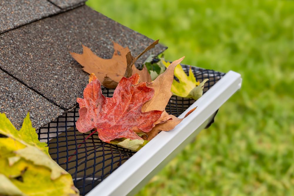Why Rain Gutters Are a Must-Have for Homes in Northern Nevada